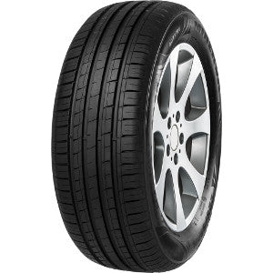 MINERVA ZO F209 225/55/16 99W